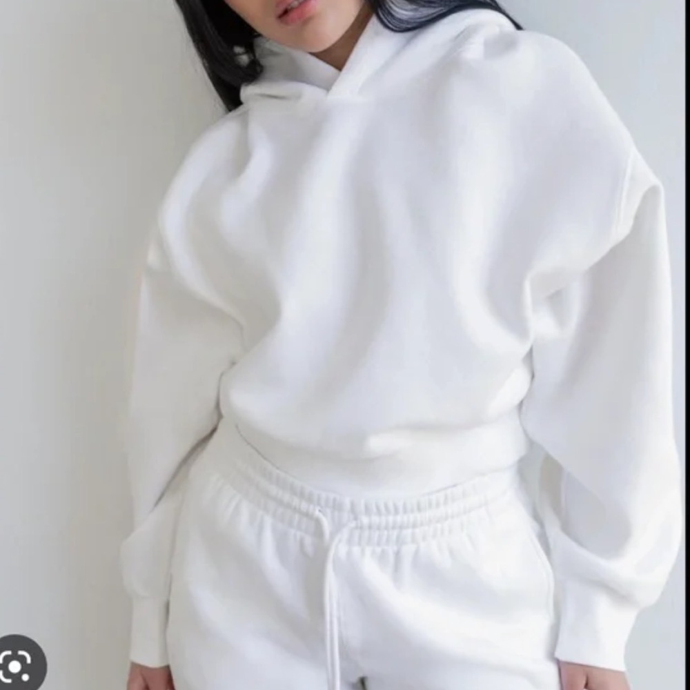 Aritzia 	Tna
COZY FLEECE PERFECT SHRUNKEN HOODIE
Item no: 78235
